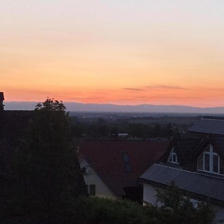 Ferienwohnung Vogesenblick Mullheim  Zewnętrze zdjęcie