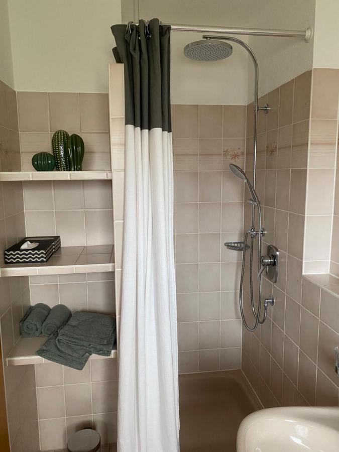 Ferienwohnung Vogesenblick Mullheim  Zewnętrze zdjęcie