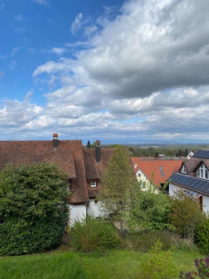 Ferienwohnung Vogesenblick Mullheim  Zewnętrze zdjęcie