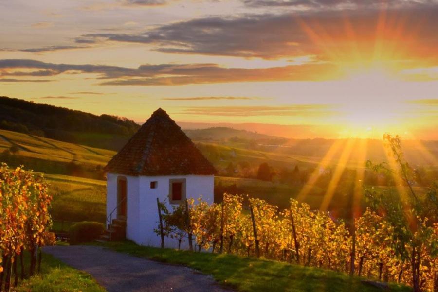 Ferienwohnung Vogesenblick Mullheim  Zewnętrze zdjęcie